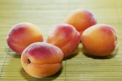 杏到底是伤人还是养人的水果？